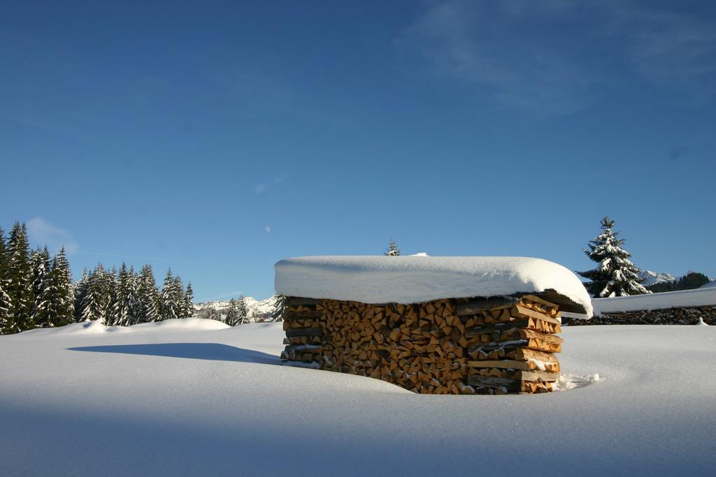 Chalet Genepi Монрьон Экстерьер фото
